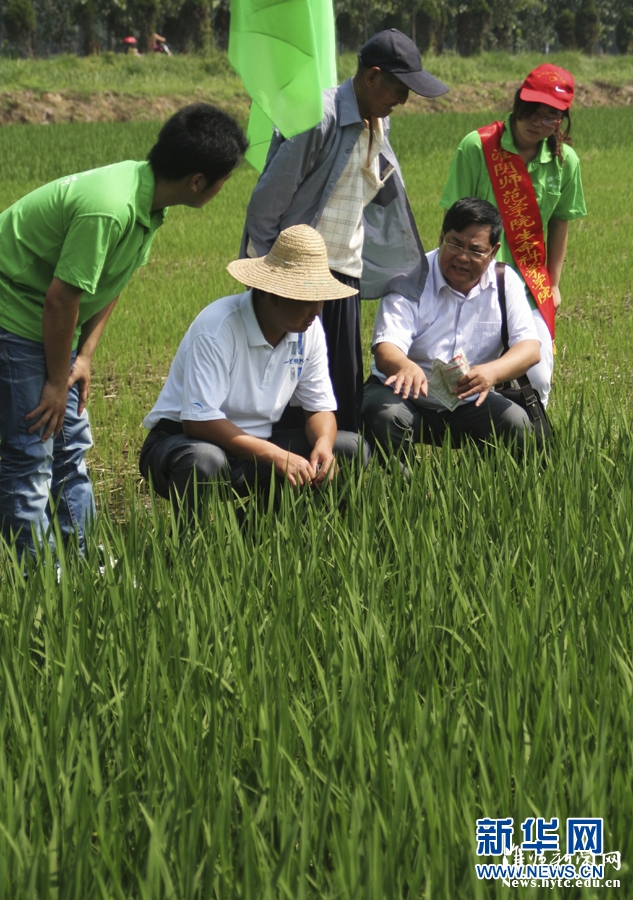 7月9日，江苏beat365官方网站生科院的大学生志愿者与老师一起在田间向农民讲解科学的杀虫方法。
